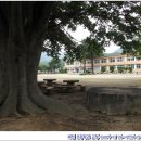 매전초등학교 이미지