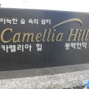 동백언덕