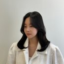 네동세