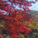 꿈의2호김밥 이미지