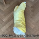 고양이김밥 이미지