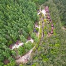 태백고원자연휴양림 이미지