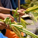 동남 수약국 이미지
