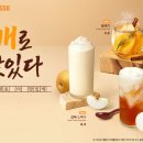 벤티프레소인천