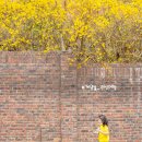 계양산로 이미지