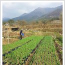 병현농장 이미지