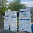 과천재즈피크닉 | 넉살 방문! 과천재즈피크닉 2025 후기(+준비물/꿀팁)