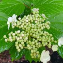 탑내과가정의학과의원 이미지