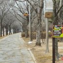 용두2공원 이미지