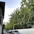 이연케미칼 이미지