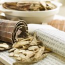 초심한의원 이미지