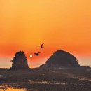 꽃지사랑 이미지