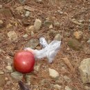 백천목장 이미지