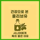 시니어 참기름 | 건강으로 본 올리브유 – 시니어에게 특히 좋은 이유