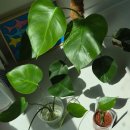 일성메디칼 | 바쁜 듯 안 바쁜 듯 조용하고 뜨거운 8월 일상 기록