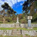 원동길 | 청도 가을 명소, 적천사 은행나무 실시간, 11월 가볼만한 여행지 추천