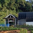 가을농장 이미지