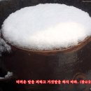 바탕곡 Daum카페