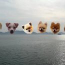 사초 해변공원 이미지