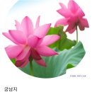 사랑방 마실..궁남지 18.19. 이미지