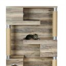 MODERN CAT 이미지