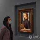 보티첼리 연합뉴스