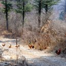 춘천예현병원 이미지