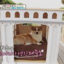 [개밥주는남자] 주병진이 디자인한 대중소 집.jpg(종편주의) 이미지