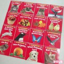 리딩차일드 | 논픽션 리더스북 Guided Science Readers Level A 후기 (엄마표영어 6세 영어 리딩 ORT 수평독서)