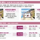 프로렌즈사 네이버블로그