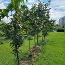 삼돈농장 이미지