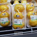 신토불이농수산물 이미지