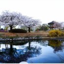 크레인PC 충북대소점 | 재학이 여정 산야바다의 2016년 사진 모음