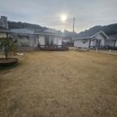 제부어시장 이미지