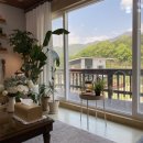 스테이브릴 이미지