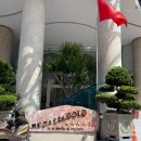 초록날개 | [베트남 여행 🇻🇳] 꿈의 날개로 구름 속을 산책할 거야