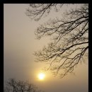 쌍둥이네흙집 이미지