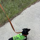 대운길 | [울산/온양] 남창역 근처 울산빙수카페맛집 설빙 울산온양점 내돈내산 솔직후기