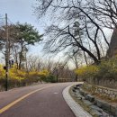 강남박내과의원 이미지