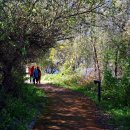 국화저수지 이미지