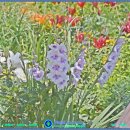 방학사거리 이미지