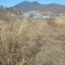 한벌1리 이미지