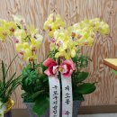 지구촌지역아동센터 이미지