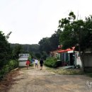 주교동 (원당지하차도) 이미지