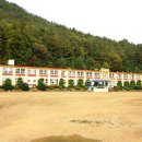 나무와중학교 이미지