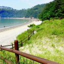 태안바다 이미지