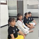 대호태권도 이미지