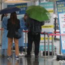 호두태양광발전소 이미지