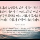 오늘의 '영어성경 사진'(948강) “우리를 속죄해주시는 하나님”(이사야 35장 10절) 이미지