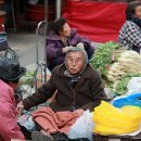 양양5일장 이미지